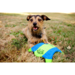Chuckit Flying Squirrel Medium 35 cm