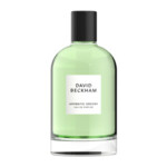 David Beckham Aromatic Greens Eau de Parfum Spray