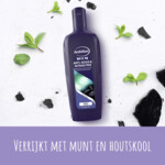 Andrélon Shampoo Men Anti-Roos & Intens Fris - 2.19 euro