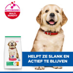 Hill's Science Plan Hondenvoer Droog Puppy Large Kip 16 kg