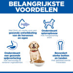 Hill's Science Plan Hondenvoer Droog Puppy Large Kip 16 kg