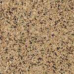 Deli Nature Kanarie Light Nummer 65 - 34.65 euro