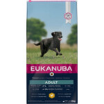 Eukanuba Dog Adult Large Graanvrij Vis  12 kg