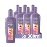 6x Andrelon Shampoo Levendig Lang