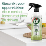 Cif Disinfect & Shine Spring Flowers - 1.99 euro