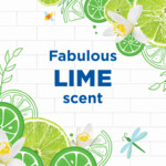 WC Eend Fresh Discs Houder Lime Zest - 3.75 euro