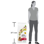 Beneful Hondenvoer Droog Original Rund - Groenten - 42.99 euro