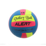 Alert Volleybal