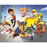 Clementoni Paw Patrol  - 20 + 60 +100 +180 Stukjes - 8.24 euro
