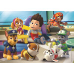 Clementoni Paw Patrol  - 20 + 60 +100 +180 Stukjes - 8.24 euro