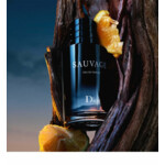 Dior Sauvage Eau de Parfum - 98.99 euro