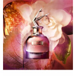 Jean Paul Gaultier Scandal Eau de Parfum - 86.49 euro