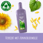 Andrélon Shampoo Iedere Dag - 4.38 euro