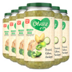 6x Olvarit Maaltijd 12m Broccoli Kalkoen Aardappel