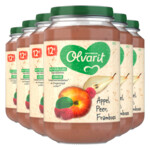 6x Olvarit Fruithapje 12m Appel Peer Framboos