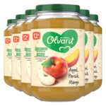 6x Olvarit Fruithapje 12m Appel Perzik Mango