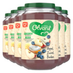 6x Olvarit Fruithapje 12m Appel Yogurt Bosbes