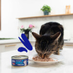24x Edgard & Cooper Kattenvoer Fillets Tonijn 70 gr