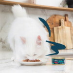 24x Edgard & Cooper Kattenvoer Fillets Tonijn - Inktvis - 36.49 euro