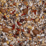 Deli Nature Birdelicious Exquisit Nuts 750 gr