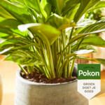 Pokon Powerspray Kamerplanten - 8.99 euro