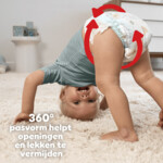 Pampers Baby Dry Luierbroekjes Maat 8 (17 kg+) - 64.49 euro