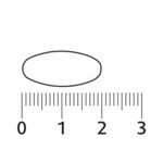 Lucovitaal Zuur Base - 19.99 euro