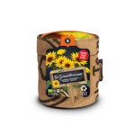 Baza Keukentuintje Bio Zonnebloem - 4.59 euro