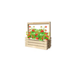 Baza Fresh Farm Bosaardbei Rood - 7.45 euro