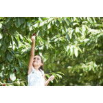 Hero Cherry Zero - 2.69 euro