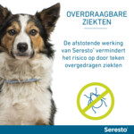 Seresto Anti Vlooien en Teken Halsband Hond Tot 8 kg 2-pack 38 cm
