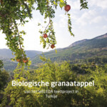 WELEDA Granaatappel Verstevigende Body Butter - 17.99 euro