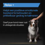 Pro Plan Supplement Olie voor Honden Relax 250 gr