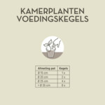 Pokon Kamerplanten Voedingskegels - 3.79 euro