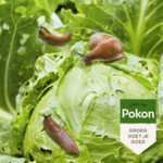 Pokon Tegen Slakken Korrels Biologisch - 14.96 euro