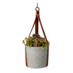 Buzzy House Plants Hangende Plantpot met Coleus zaden - 11.75 euro