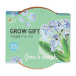 Buzzy Groeicadeautje Vergeet-me-niet - 1.09 euro