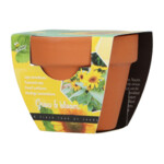Buzzy Groeicadeautje Zonnebloem - 1.09 euro