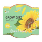 Buzzy Groeicadeautje Zonnebloem - 1.09 euro