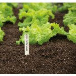 SOGO Houten Steeketiket 15 cm - 3.29 euro