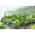 SOGO Insectengaas 2,1 x 4.5 m - 17.99 euro