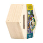 Bûten Home Insectenkast Hexagon Vlinder - 6.25 euro