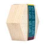 Bûten Home Insectenkast Hexagon Vlinder - 6.25 euro
