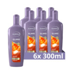 6x Andrelon Shampoo Glans