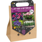 Nuttige Bloementas Bloembollen City Bees & Butterflies voor Pot & Patio