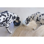 Designed by Lotte Eetbak Hond Vive Zwart Roestvrij Staal - 11.95 euro