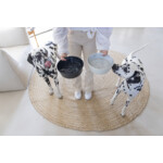 Designed by Lotte Eetbak Hond Vive Zwart Roestvrij Staal - 11.95 euro