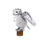 National Geographic 3D Puzzel NG Sneeuw Uil - 9.45 euro