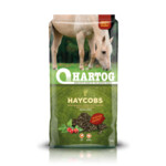 Hartog Haycobs