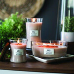 WoodWick Geurkaars Medium Vanilla & Sea Salt - 22.69 euro